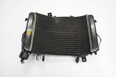 1485761684594176 Ktm 690 duke 12-15 радиатор