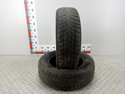 65R15 Шины Не имеет значения Не имеет значения (2000-2024) 195/,195/