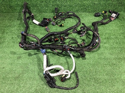 806001101AA Проводка двигателя Exeed TXL 1 [2019-2021]