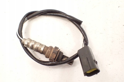 1373431111 aprilia rsv 1000 r factory 03-10 лямбда зонд