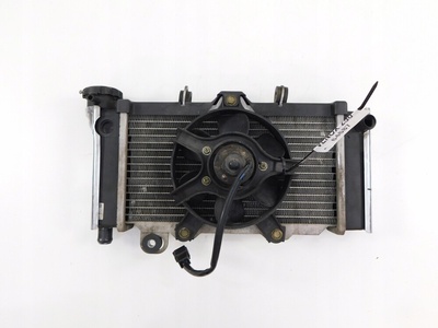11455394562 kymco venox 250 радиатор вентилятор