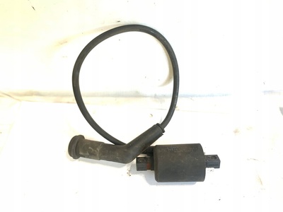 2145656990016666 kymco venox 250 катушка зажигания