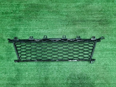 51118069367 Решетка перед бампера Bmw 3er G20 (2018-2022)