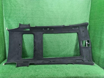 54105A6B3A9 Обшивка потолка Bmw X7 G07 (2019-2022)