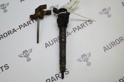 LR073710 Форсунка топливная 2.0D (2,0 л I4 DSL MID DOHC AJ200) Land Rover Range Rover Evoque L538 2011