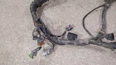 ПРОВОДКА ДВИГАТЕЛЯ 2.4i , 8D1971072 LH , от APS + БЛОК УПРАВЛЕНИЯ BOSH 3B0907552L AUDI A6 C5 2001