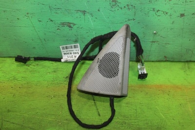 A2117250294 Сетка динамика MERCEDES E-CLASS W211 2005 , A2117250298