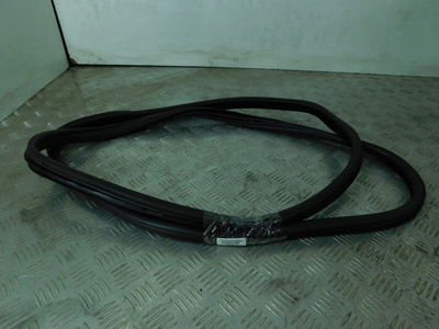 7207222 уплотнитель двери передней левой BMW X5 E70 2007 ,51767220381