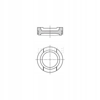 0309202 поршень mahle volkswagen гольф 1j51j1 passat 3b33b6