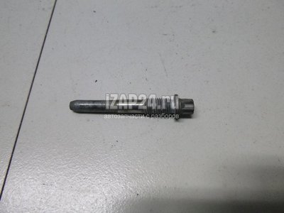 51217069748 Болт крепления дверной петли BMW Countryman R60 (2010 - 2016)