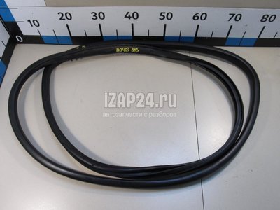 769233802R Уплотнитель двери Renault Koleos 2017