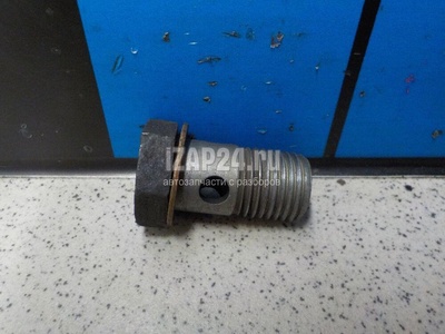 N0210745 Болт полый VAG A8 [4D] (1994 - 1998)