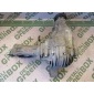 4460310030 Редуктор переднего моста Mercedes R W251 2007