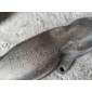 059253033L Коллектор выпускной Audi A5 2006