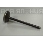 8970338641 Клапан впускной ISUZU ELF 4HE1, 4HF1, 4HG1, 4HJ1, 4HK1 ISUZU ELF 8-97033-864-1/8-97033-864-2/8-97033-864-3/8-94367-398-0/8-94394-160-1/8-94394-160-2