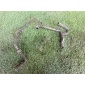 06f121065h патрубок системы охлаждения Volkswagen Passat B6, 3C5, 3C2 2008, 2005-2010