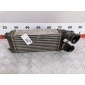 M144105 Интеркулер (радиатор интеркулера) Citroen C4 1 (-) 2006 ,0384H5