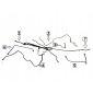 Z13DTJ opel meriva а 1.3 cdti 03 - 10 провода шланг топлива