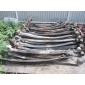 Листовая man daf трактор siodłowy 85434026010