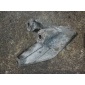 4F0199307N Кронштейн двигателя Audi A6 2008