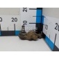 545703E001 Опора шаровая нижняя передней подвески Hyundai-Kia Sorento (2002 - 2009)