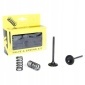 28.SIS24022 prox регуляторы сосать + пружины yamaha yzf / wrf 250