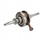 IP000446 вал коленчатый gy6 - 50 22t - zęby inparts