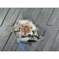 06E121018D Помпа Audi A4 B7 2009 ,06E121018AX,X