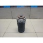 31336776554 Пыльник переднего амортизатора BMW X5 E70 (2007 - 2013)