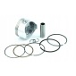 R1001662 поршень набор с pierścieniami для loncin g200f / lifan