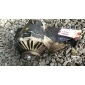 01R525053M Редуктор заднего моста Audi A4 (B6) 2000-2004 2004