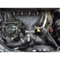 G6DG двигатель форд focus kuga c - max 2.0 tdci