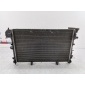 13196477879738E Радиатор основной Opel Vectra C (2002-2008) 2007 13196477 879738E,24418345