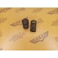 24469162 пружина клапана Opel Corsa-D S07 2010 , 55567016