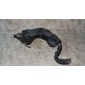 GS1D67P12 Проводка подкапотная Mazda 6 II (GH) (2007–2009) 139 2009 GS1D-67-P12