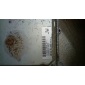 37820PDAE11 блок управления honda accord vi 37820 - pda - e11