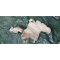 3B0955453 Бачок омывателя Volkswagen Passat B5 GP 2001