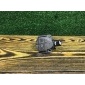 1J0907660C Датчик уровня масла Volkswagen Touran 1 2005
