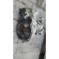 Opel astra 2.0d кпп 5495775 f23