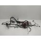 038906019DS Проводка двигателя Volkswagen Passat B5+ (GP) 2002