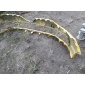 620222380R бампер передняя передний renault clio iv rs