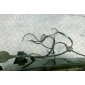 8387106 Проводка бампера заднего BMW 5 E39 (1995-2003) 1999 , 8371461