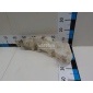 4F0955453R Бачок омывателя лобового стекла VAG A6 [C6,4F] (2004 - 2011)