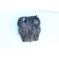 Cygnus x flame 125 03 - 06 подкрылок