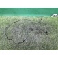 A2115401217 Датчик ABS Mercedes-Benz E W211 2002 , 2115401917, 2115402417, 2115403017