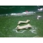 4f9945067 Кронштейн фары AUDI A6 C6 2006