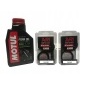 ARI.003T ????????????arieter1200cl02 - 05 motul