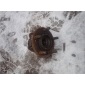4721515AD Ступица (кулак, цапфа) Chrysler Voyager 2001-2007 2005