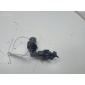 24405977 Датчик положения распредвала Opel Signum (2003-2008) 2003
