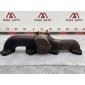 914F9430AA Б/У коллектор выпускной Ford Transit EY 1999 (1995-2000) , <strong>-Б/У Детали сняты с АВТОМОБИЛЯ</strong>